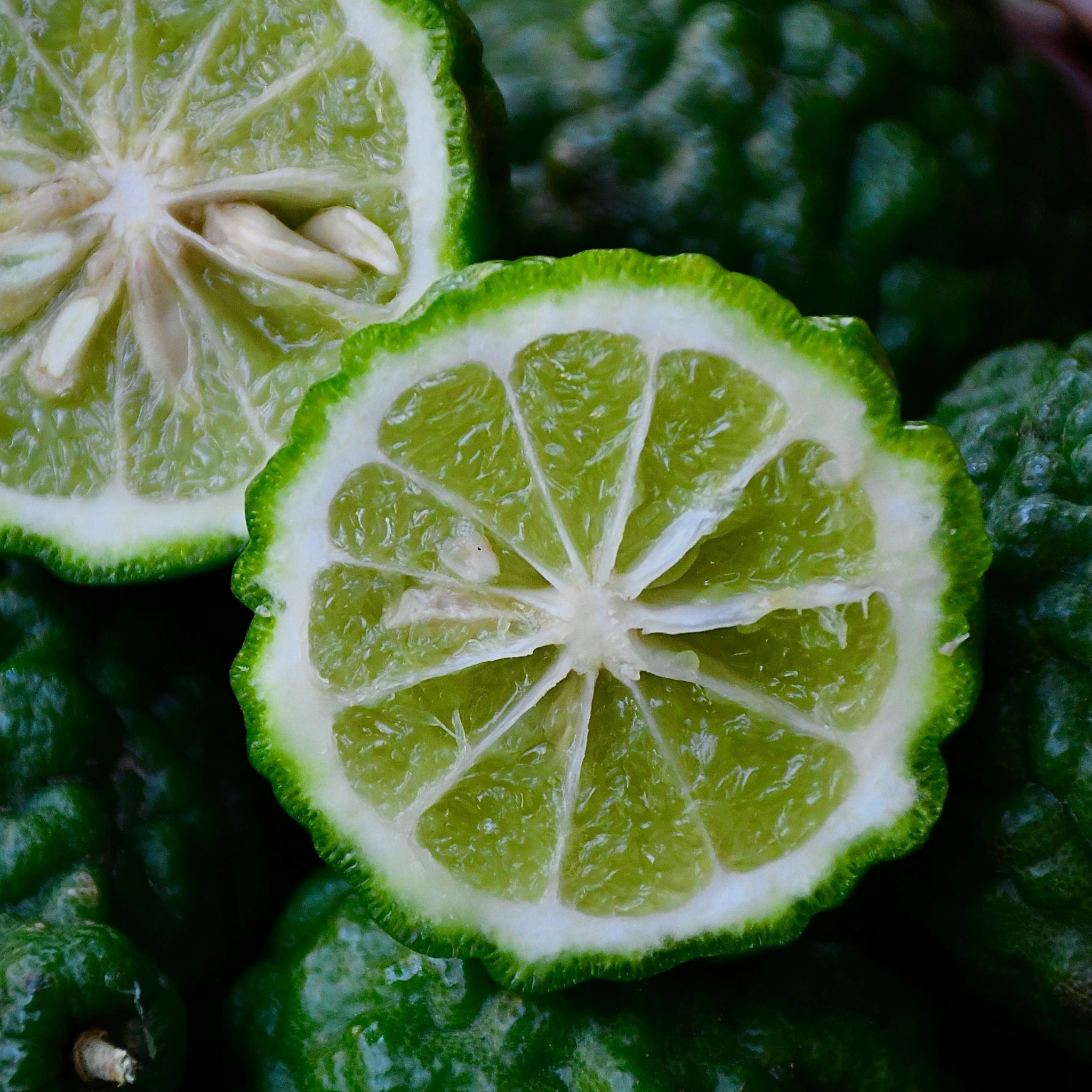 Agrume de bergamote illustrant une note fraîche et lumineuse dans les fragrances BØREA
