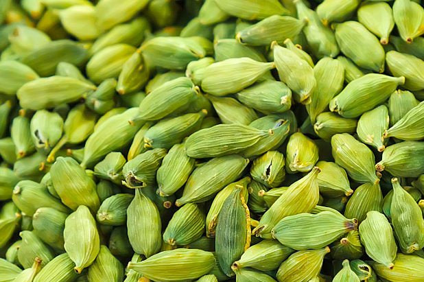 Cardamome verte, note olfactive épicée utilisée dans les créations parfumées BØREA