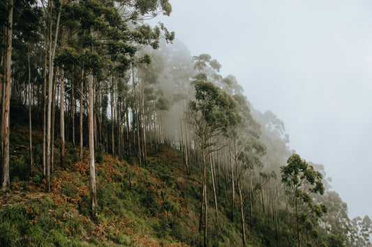 Le Rituel Respira